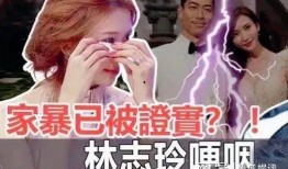 谁爆料家暴视频最新一期,家暴视频揭露惊人真相